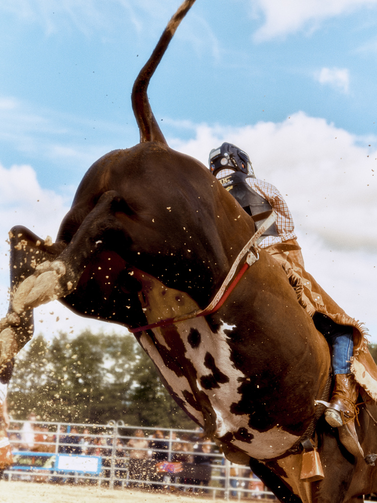 Thomas Chéné -  2019_09_07_Revue Hobbies_Bull Riding 1439.jpg